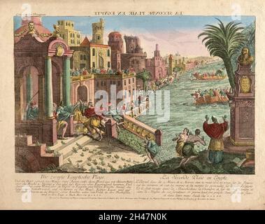 Plague of Frogs - Egypt Stock Photo - Alamy