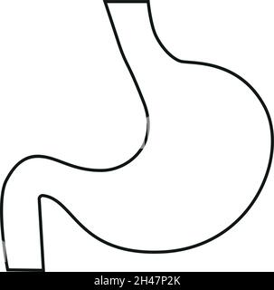 Human stomach line icon. Internal body organ vector illustration. Stock Vector