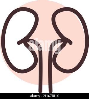 Human kidneys, illustration, vector, on a white background. Stock Vector