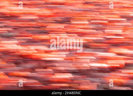 Red and purple abstract backgrounds, defocused leaves - Blurred by camera motion. Stock Photo