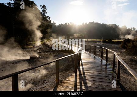 Lagoa das Furnas e Fumarolas, wooden footpath on a site of bubbling hot springs and fumaroles on the island of Sao Miguel, Azores, Portugal Stock Photo
