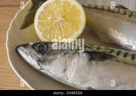 due sgombri nel piatto bianco con limone su tavolo di legno 3 Stock Photo