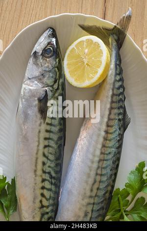 due sgombri nel piatto bianco con limone su tavolo di legno 6 Stock Photo