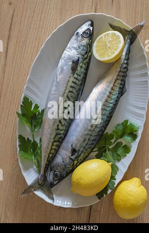 due sgombri nel piatto bianco con limone su tavolo di legno 7 Stock Photo