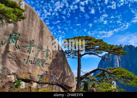 The welcoming pine at the entrance of Huangshan National Park. Landscape of Mount Huangshan (Yellow Mountain). UNESCO World Heritage Site. Anhui Provi Stock Photo