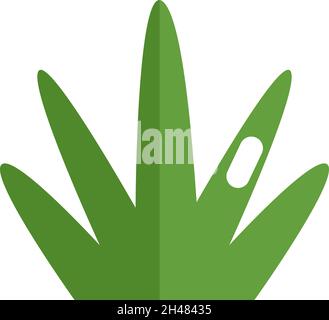 Spring grass icon Stock Vector Image & Art - Alamy