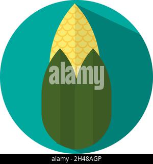 Ripe corn on the cob, illustration, vector, on a white background. Stock Vector