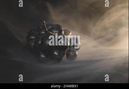 A branch of ripe red grapes on a dark background with splashes of water. Copy space. Stock Photo