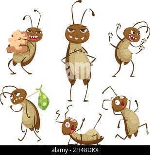 Cockroach poses. Bad hygiene roach insects disgusted animals dirt bugs pest exact vector collection cockroachs characters in cartoon style Stock Vector