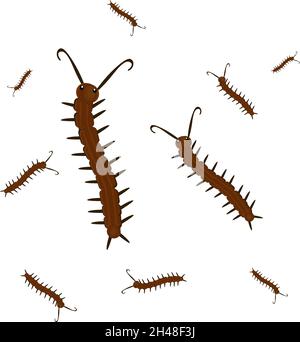 Long centipede, illustration, vector on a white background. Stock Vector