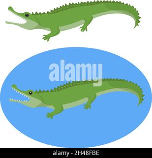 Alligator animal, illustration, vector on a white background. Stock Vector