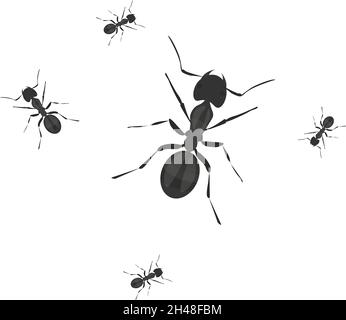 Little ants, illustration, vector on a white background. Stock Vector