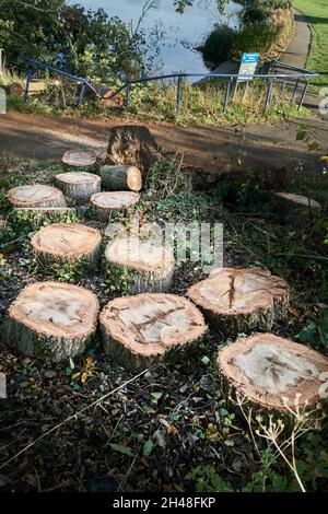 Aftermath of a mini tornado at the boating lake, Corby, England, 31st october 2021. Stock Photo