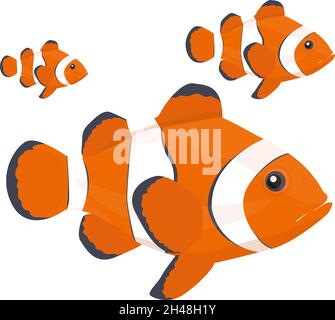Clown fish, illustration, vector on a white background. Stock Vector