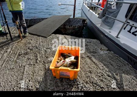 Sea Angling in Iceland. Imposing Drangey Island off the coast of Iceland Stock Photo