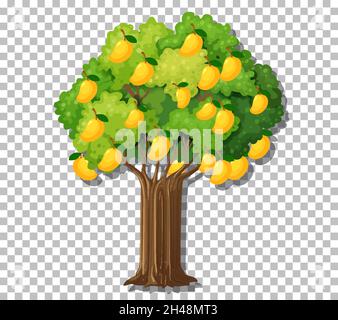 Mango tree on transparent background illustration Stock Vector