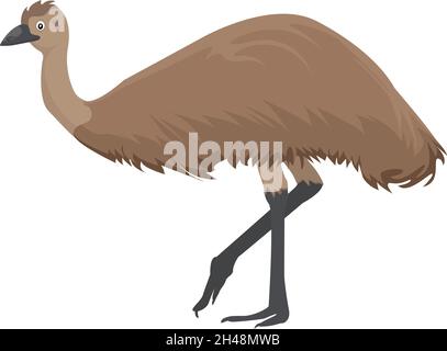 Emu bird, illustration, vector on a white background. Stock Vector