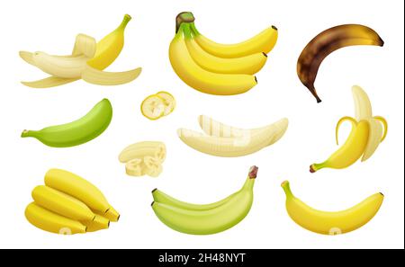 Bananas. Pieces of exotic tropical natural products realistic bananas platano vegetables fruits decent vector templates Stock Vector