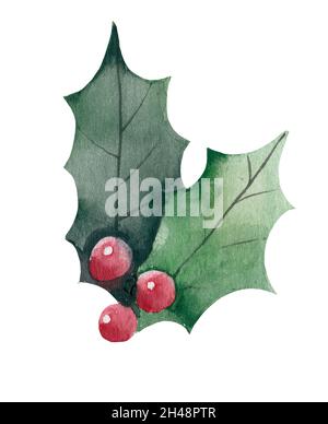 Watercolor Christmas Holly. Hand painting. Watercolor. Illustration for greeting cards, invitations, and other printing projects. Stock Photo