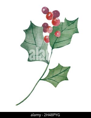 Watercolor Christmas Holly. Hand painting. Watercolor. Illustration for greeting cards, invitations, and other printing projects. Stock Photo
