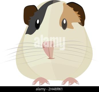 Guinea pig, illustration, vector on a white background. Stock Vector