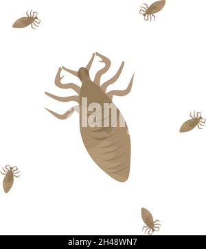 Lices, illustration, vector on a white background. Stock Vector
