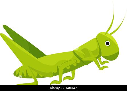 Grasshopper, illustration, vector on a white background. Stock Vector