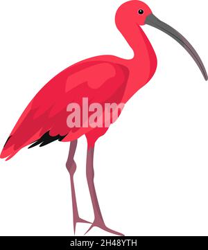 Scarlet Ibis Vector Illustration Stock Vector Image & Art - Alamy