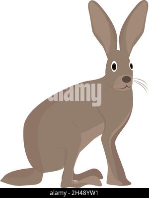 Jack rabbit, illustration, vector on a white background. Stock Vector