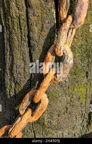 Old Rusty Chain Links Stock Photo