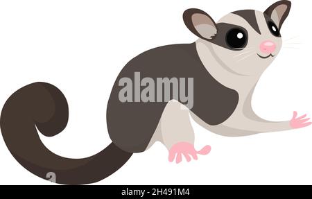 Sugar glider, illustration, vector on a white background. Stock Vector