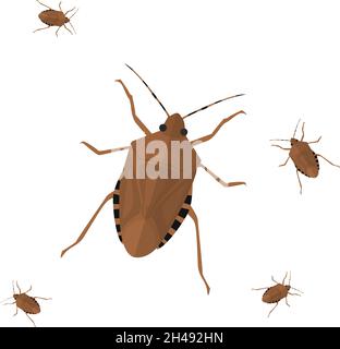Stink bug, illustration, vector on a white background. Stock Vector