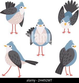 Birds poses. Cartoon bird character, isolated on white emotional bluebird expressions, flying walks looks turned away poultry pos set vector illustration Stock Vector