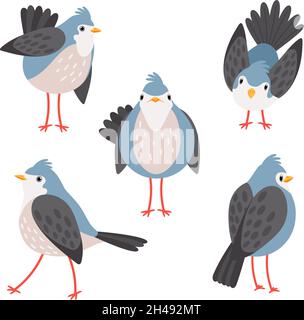 Blue Jay Bird Clip Art Set