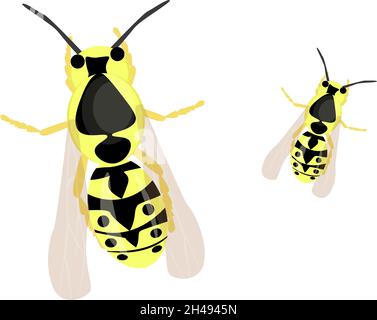 Flying wasp, illustration, vector on a white background. Stock Vector