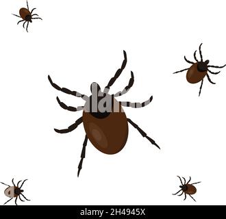 Tick bug, illustration, vector on a white background. Stock Vector
