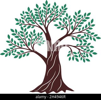 Tree green drawing. Oak graphics, environment religious creative knowledge logo branding element, genealogy wood vector illustration on white background Stock Vector