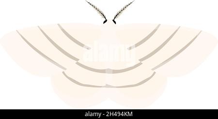 White moth, illustration, vector on a white background. Stock Vector