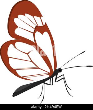 Transparent butterfly, illustration, vector on a white background. Stock Vector