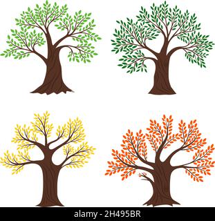 Four seasons trees. Vector seasonal tree vector set illustrations, beautiful natural spring fall summer garden seasoned wood plants isolated on white background Stock Vector