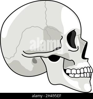 Skull profile. Gray skulls picture on white background, halftone anatomy symbol, illustrated dead human head simple sketch, skeleton chump drawing isolated on white background Stock Vector