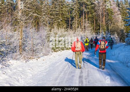 Group of people on a slippery winter road in the forest Stock Photo