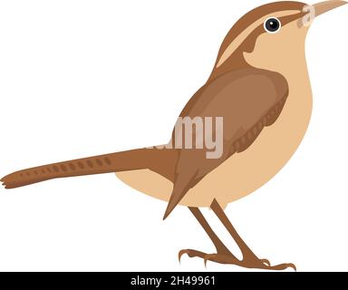 Wren bird, illustration, vector on a white background. Stock Vector