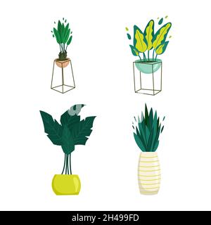 Houseplants in pots set in flat style. Vector cartoon illustration Stock Vector