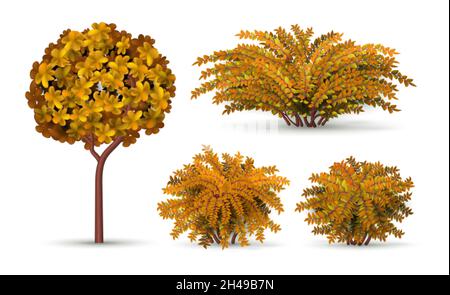 Realistic tree and bush. Autumn shrub, seasonal hedge elements. Isolated garden plants and topiary for landscape vector design Stock Vector