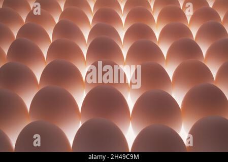 Still life. Food.  Close up of multiple hens' eggs. Stock Photo