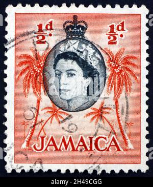 JAMAICA - CIRCA 1956: a stamp printed in Jamaica shows palm trees, circa 1956 Stock Photo