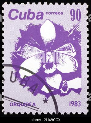 CUBA - CIRCA 1983: a stamp printed in Cuba shows orchid, flower, circa 1983 Stock Photo