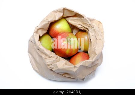 brown paper bag full of braeburn apples on white background, norfolk, england Stock Photo