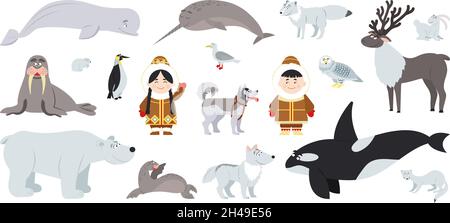 Polar animals. Cute arctic animal, walrus bear whale. Fun antarctic flat wildlife, penguin and alaska baby with dog. Eskimo characters decent vector Stock Vector